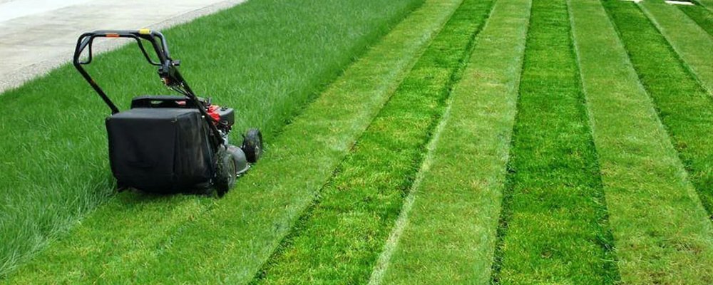 Профессиональная стрижка газона городских и частных участков