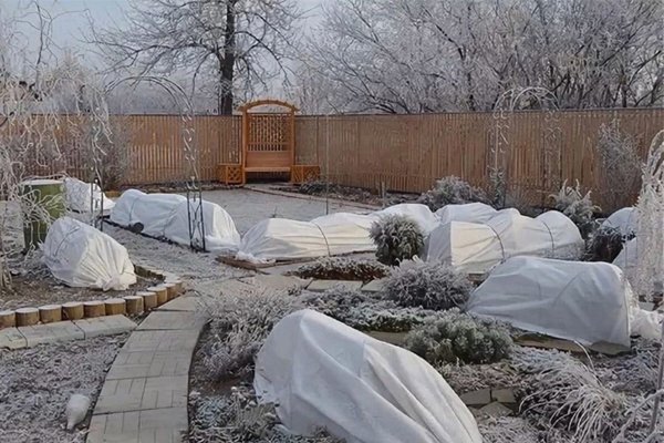 Профессиональная подготовка садов к зиме | Благоустройство городских и частных территорий